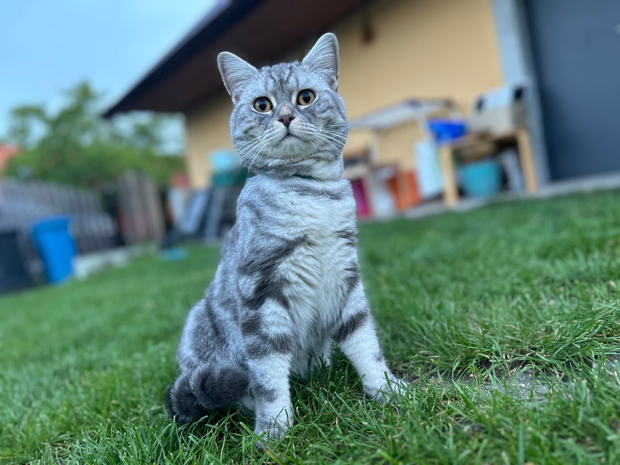 Gastronomie Mlýna na Prádle 2