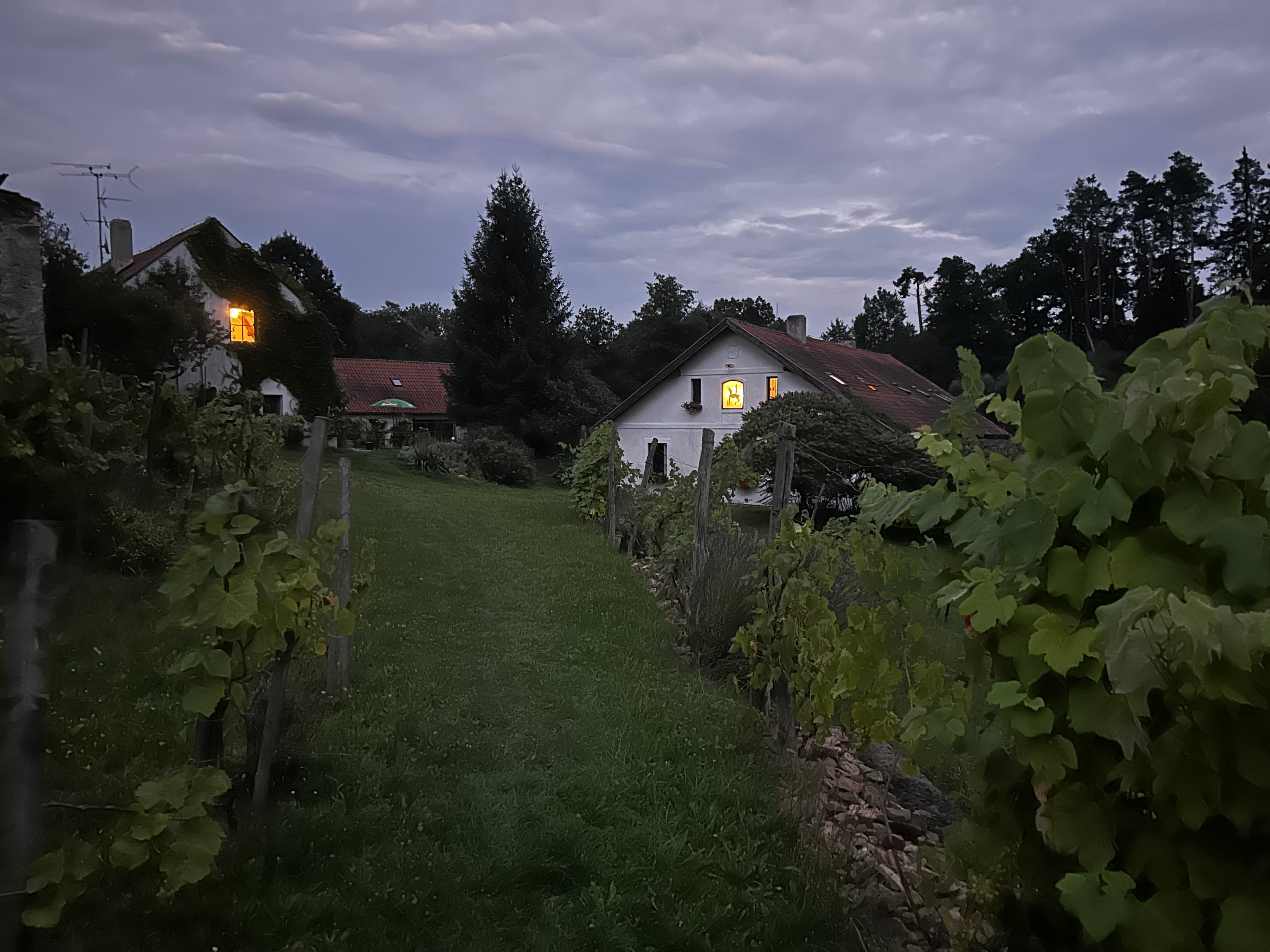 Historický vodní mlýn v krajinném rámu